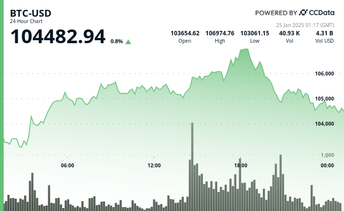 24 hours chart of the price of BTC