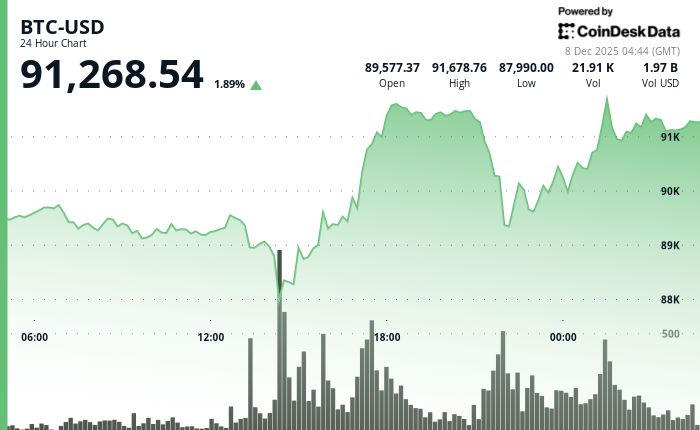 24 hours chart of the price of BTC