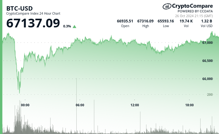 24 hours chart of the price of BTC