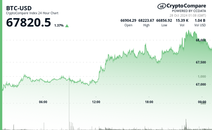 24 hours chart of the price of BTC