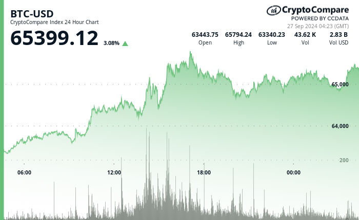 24 hours chart of the price of BTC