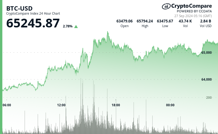 24 hours chart of the price of BTC