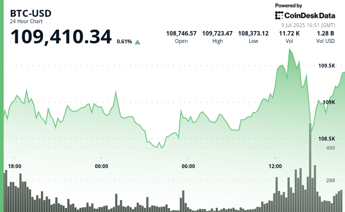 24 hours chart of the price of BTC