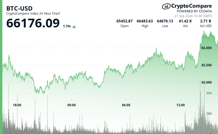 24 hours chart of the price of BTC