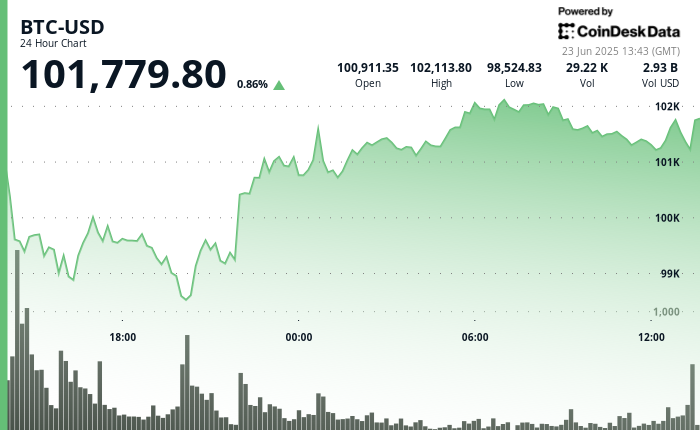 24 hours chart of the price of BTC