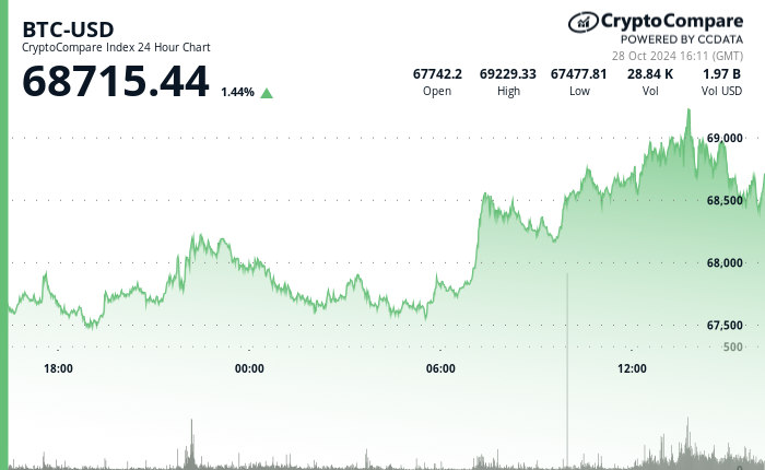 24 hours chart of the price of BTC