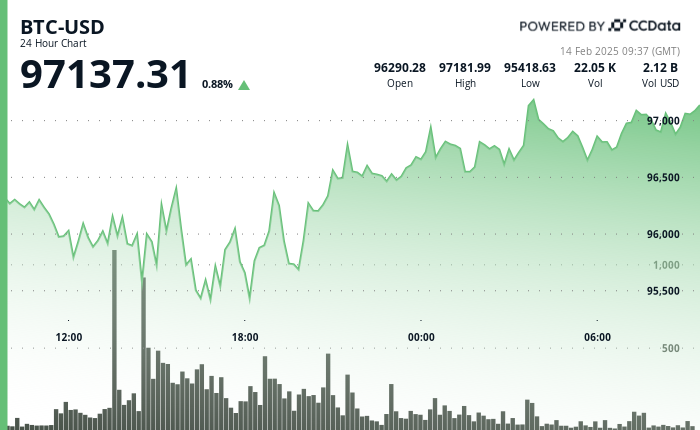 24 hours chart of the price of BTC