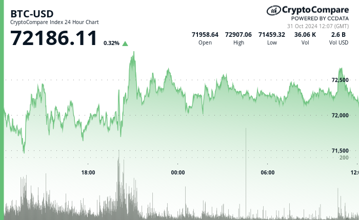 24 hours chart of the price of BTC