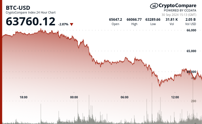 24 hours chart of the price of BTC