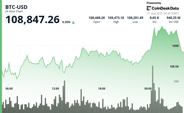24 hours chart of the price of BTC